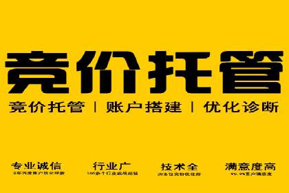 SEM托管公司案例：业绩提升之道